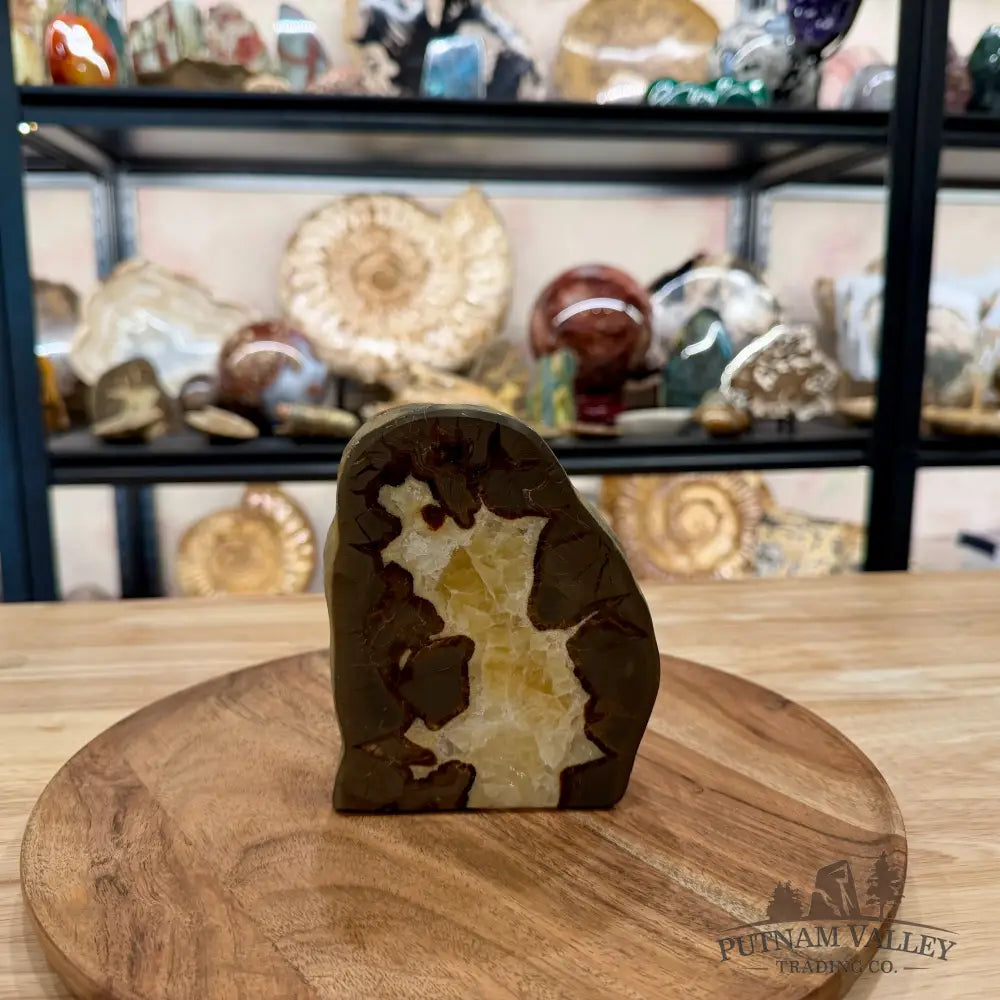 Utah Septarian Table Accent 5.18’’ - Accent