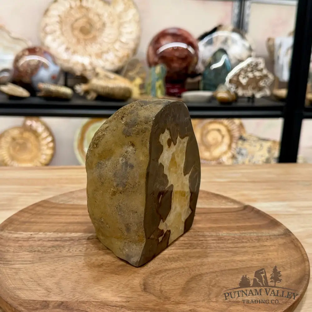 Utah Septarian Table Accent 5.18’’ - Accent