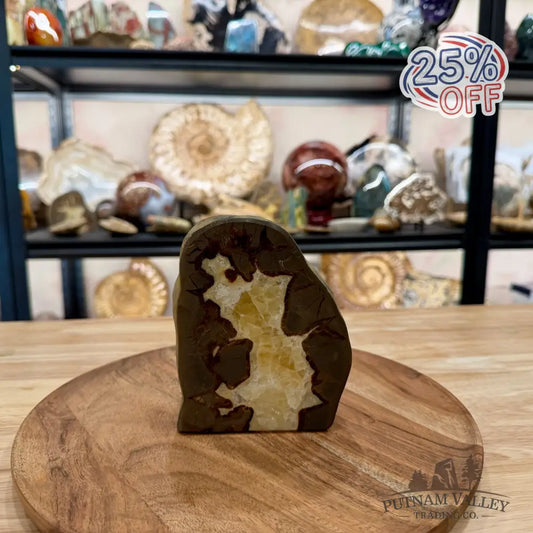 Utah Septarian Table Accent 5.18’’ - Accent