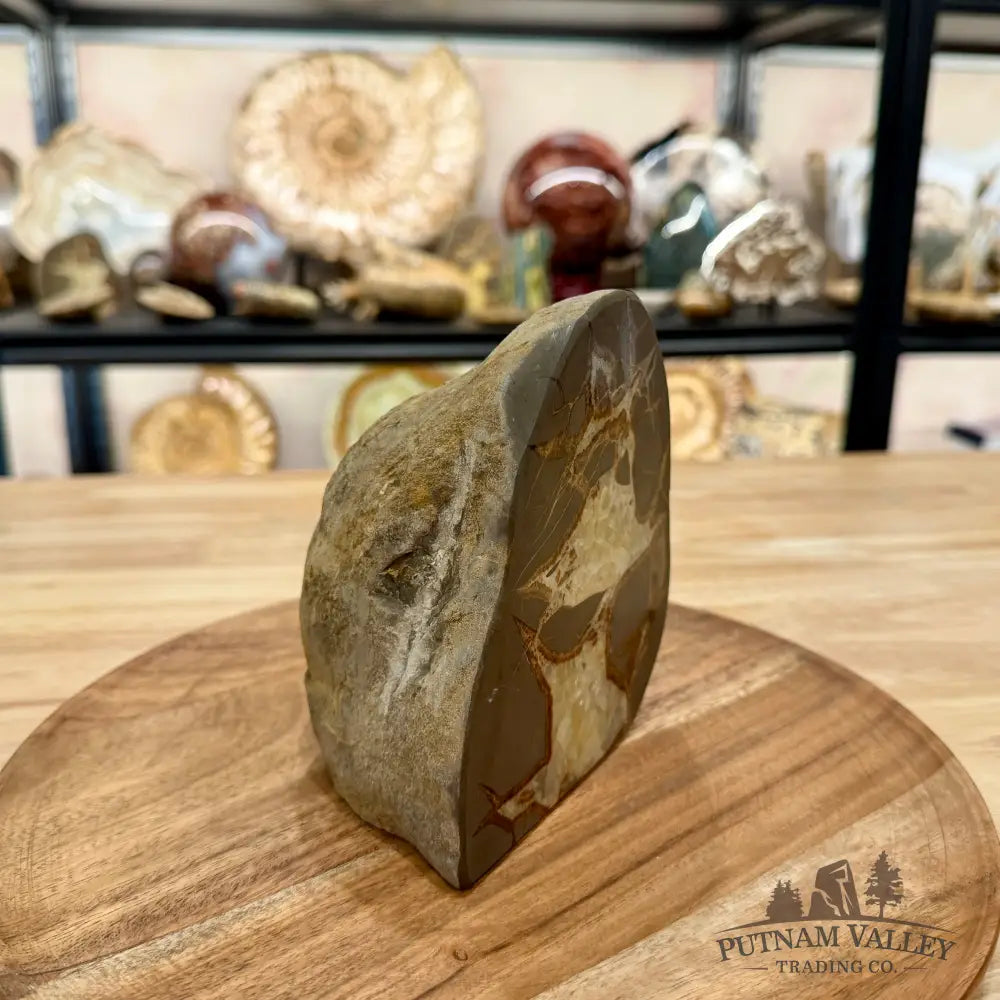 Utah Septarian Table Accent 5.54’’ - Accent