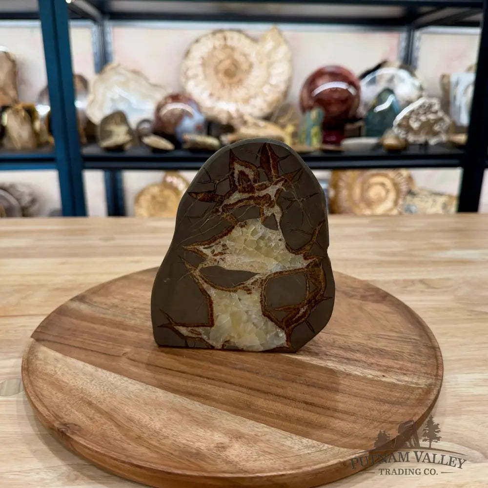 Utah Septarian Table Accent 5.54’’ - Accent