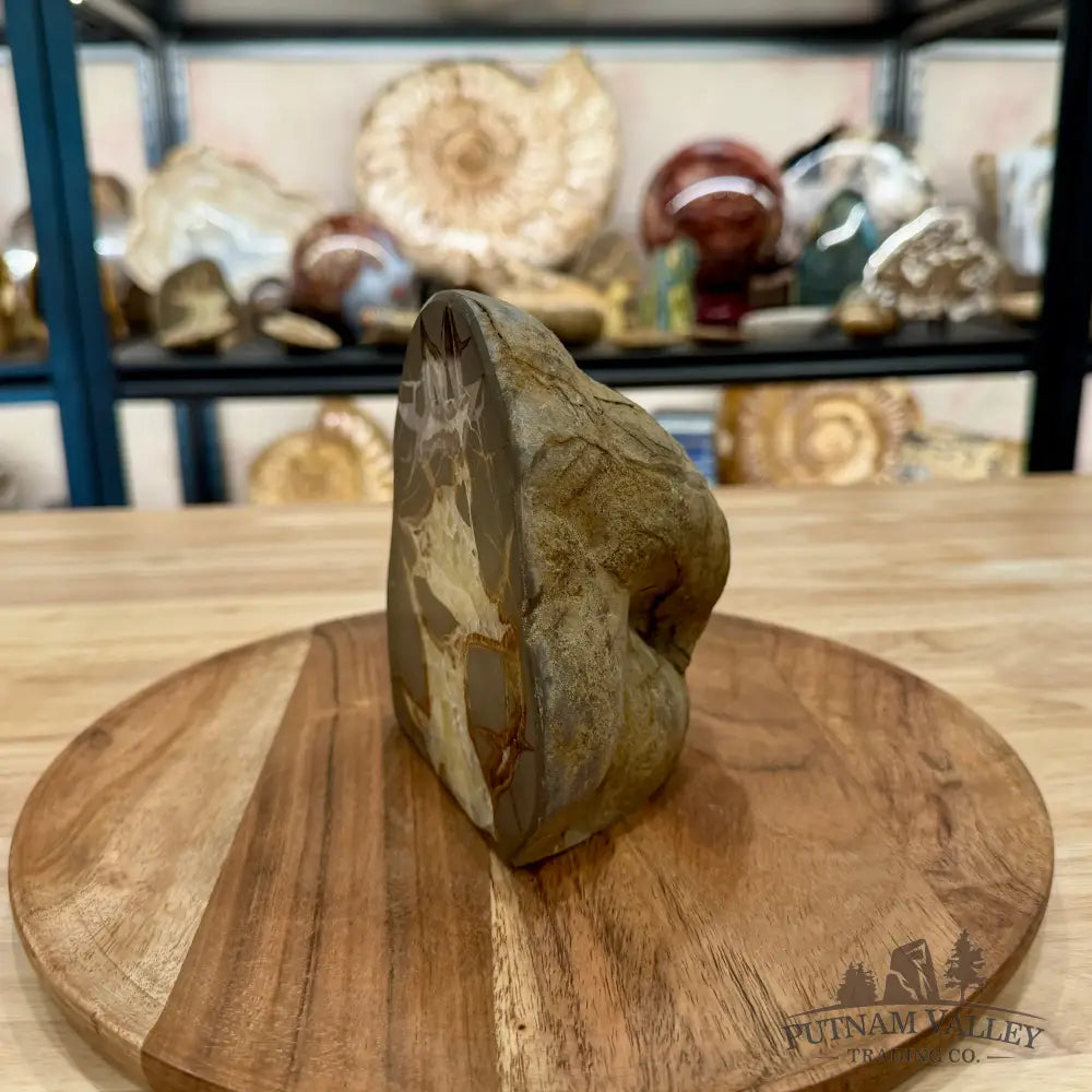 Utah Septarian Table Accent 5.54’’ - Accent