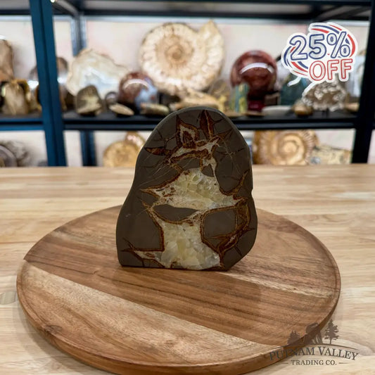 Utah Septarian Table Accent 5.54’’ - Accent