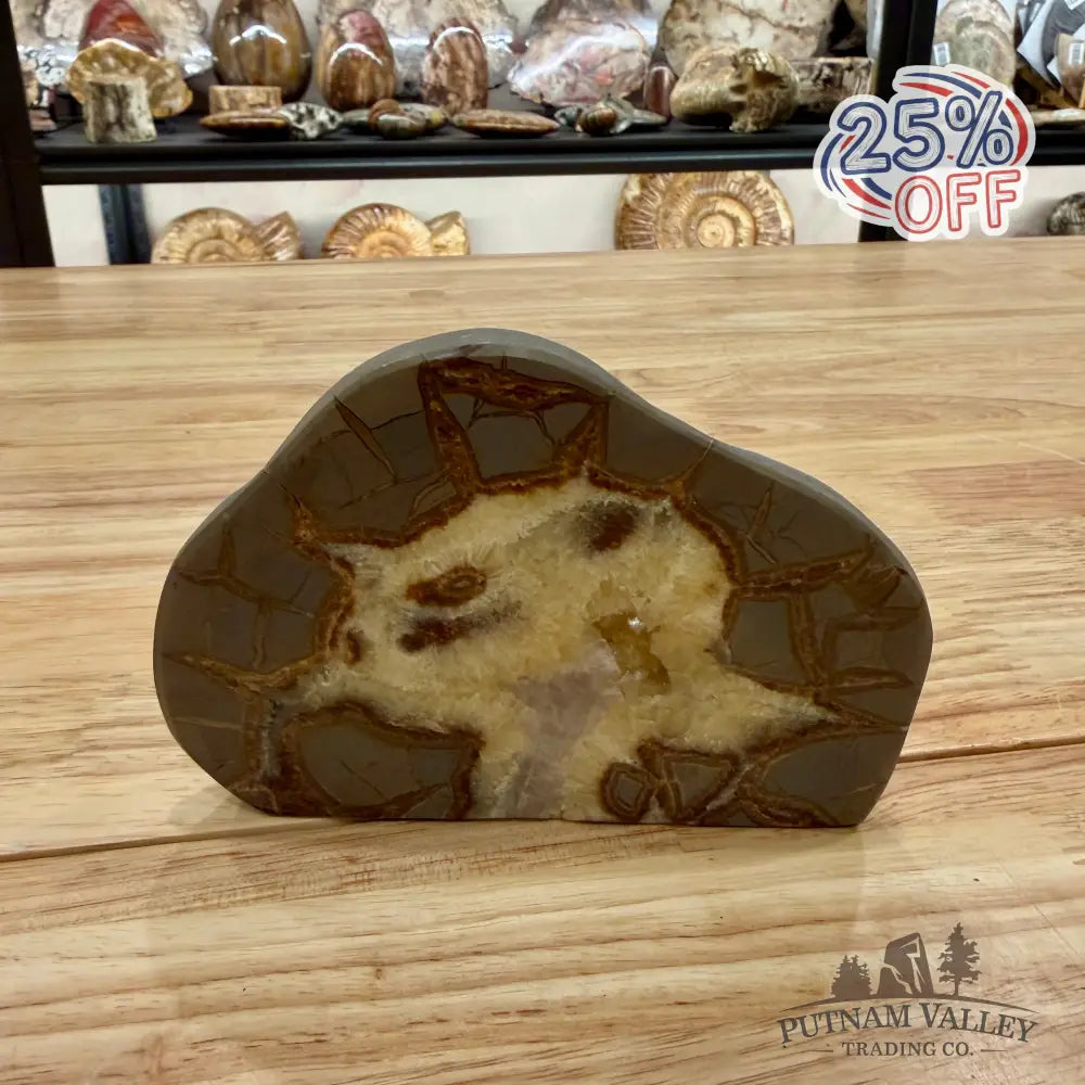 Utah Septarian Table Accent Accent