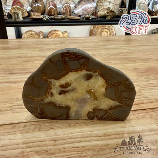 Utah Septarian Table Accent Accent