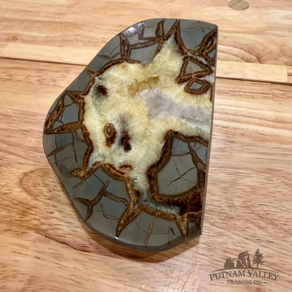 Utah Septarian Table Accent Accent