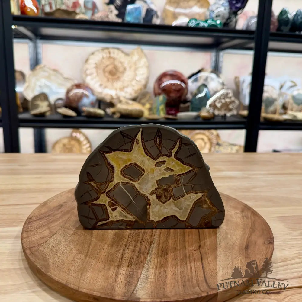 Utah Septarian Table Accent 6.61’’ - Accent