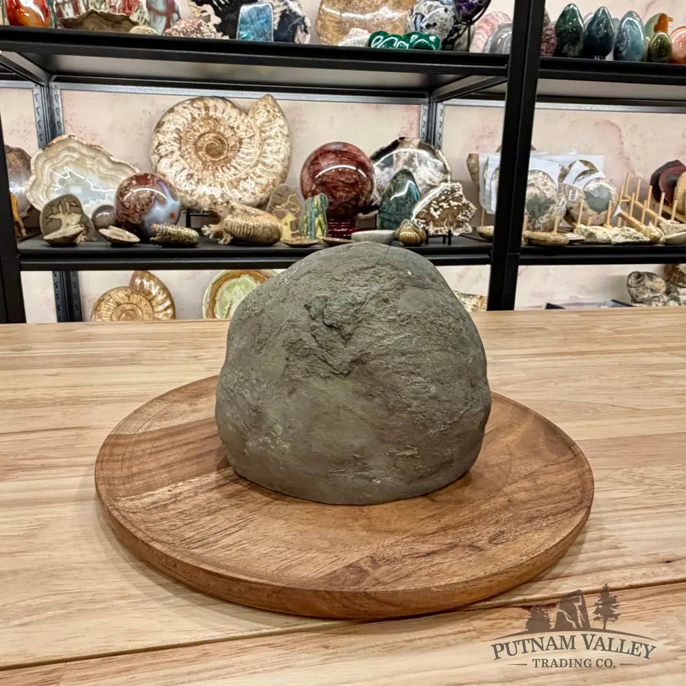 Utah Septarian Table Accent 6.61’’ - Accent