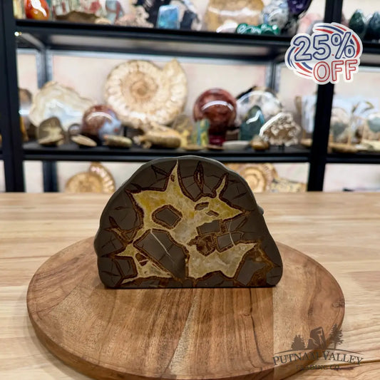 Utah Septarian Table Accent 6.61’’ - Accent
