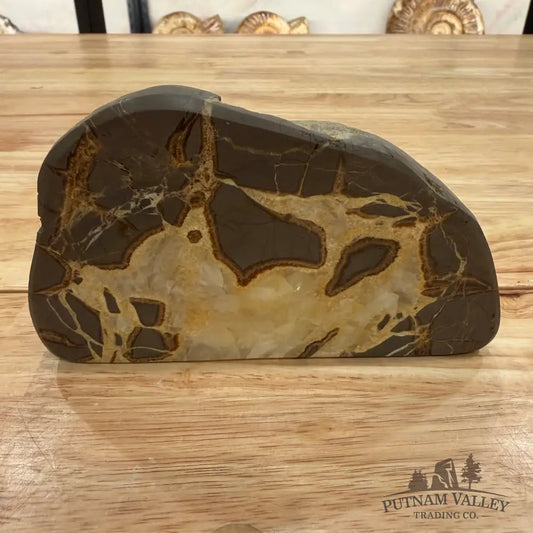 Utah Septarian Table Accent Accent