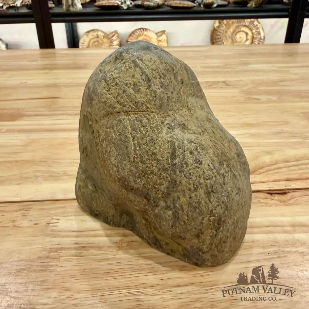 Utah Septarian Table Accent Accent