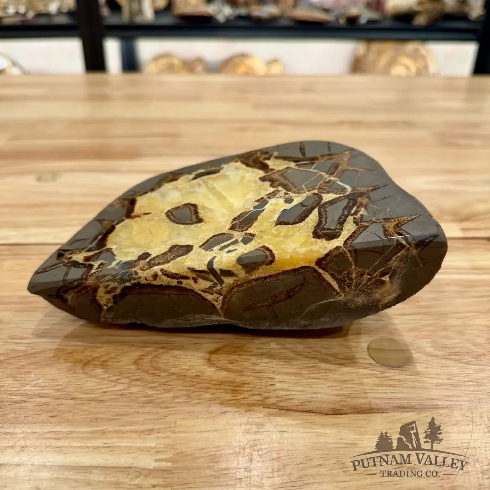 Utah Septarian Table Accent Accent
