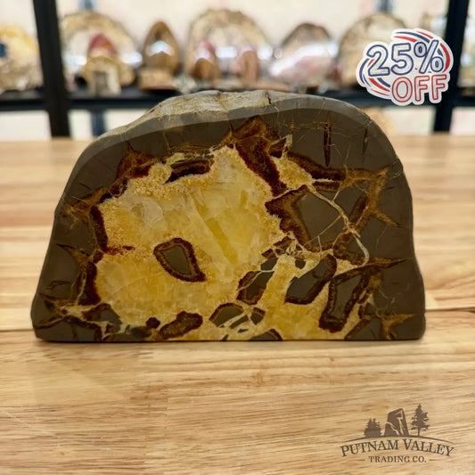 Utah Septarian Table Accent Accent