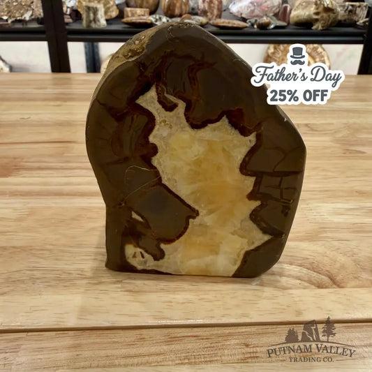 Utah Septarian Table Accent Accent