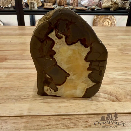 Utah Septarian Table Accent Accent