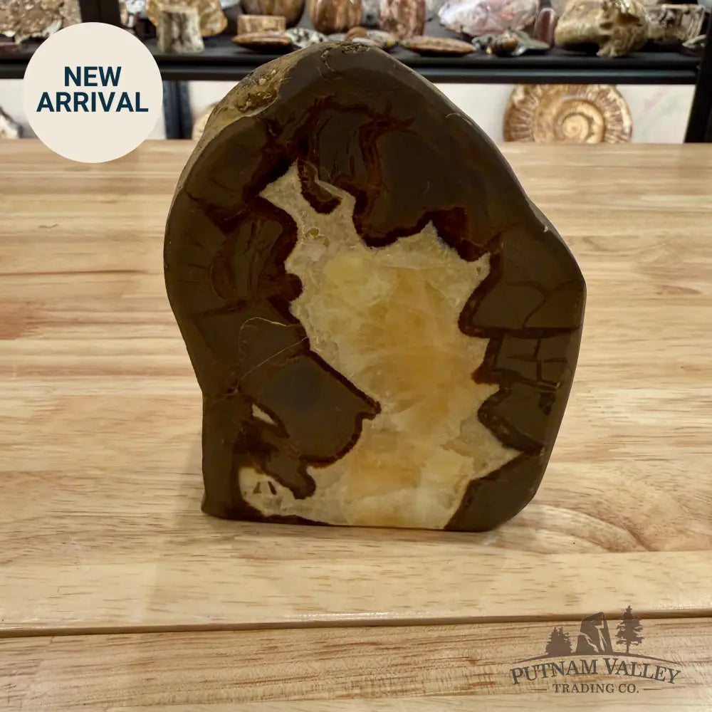 Utah Septarian Table Accent Accent
