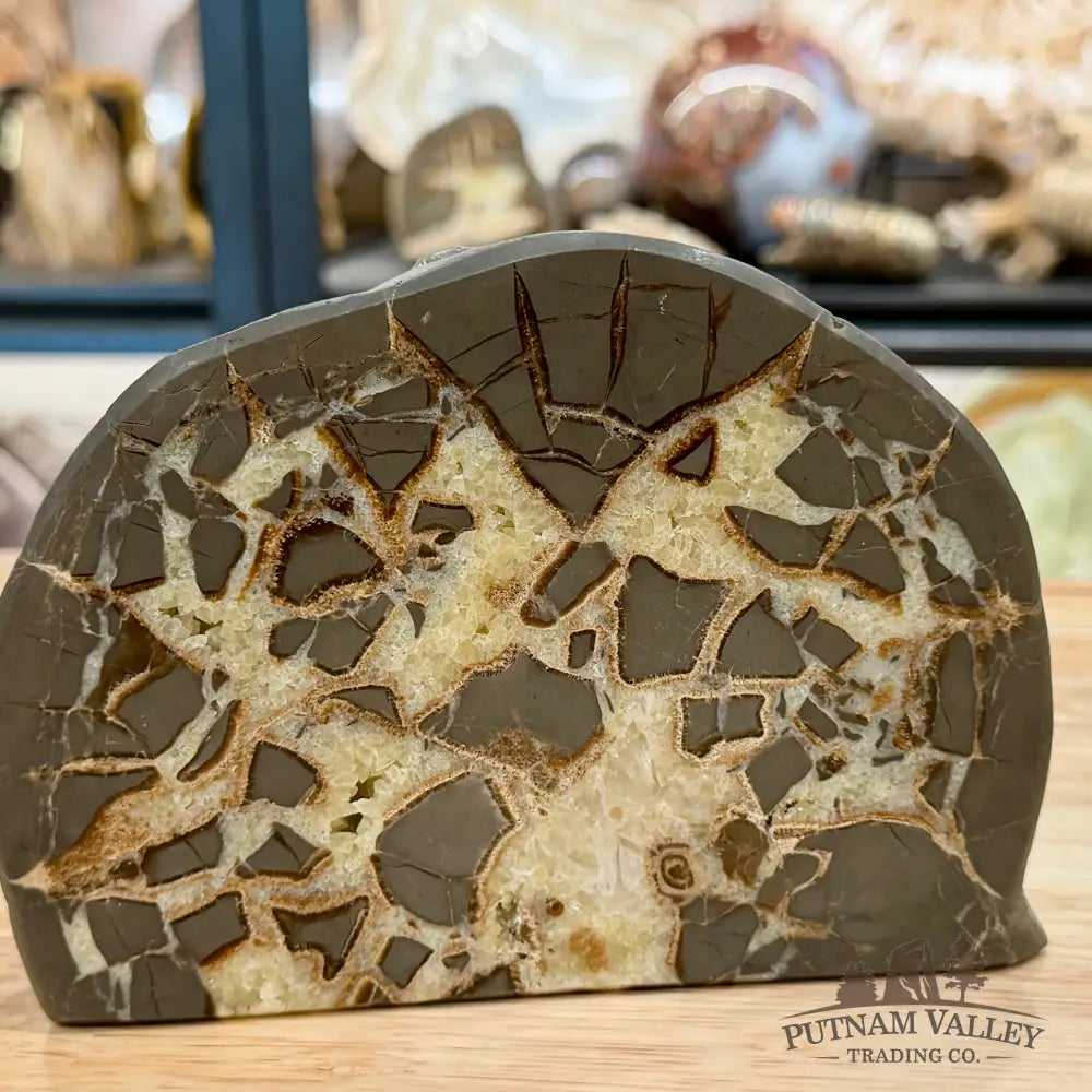 Utah Septarian Table Accent Pair 6.28’’ - Accent