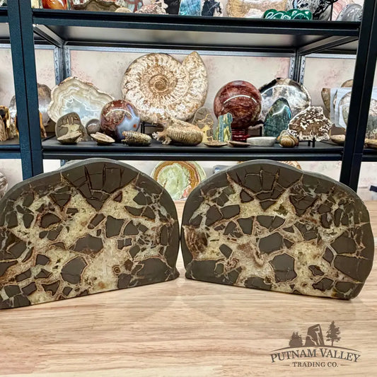 Utah Septarian Table Accent Pair 6.28’’ - Accent