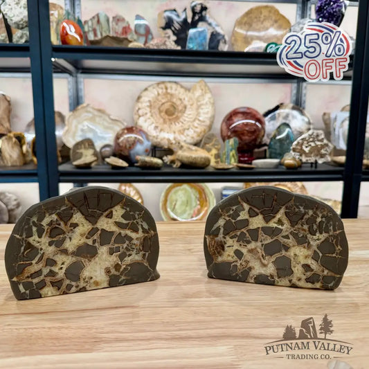 Utah Septarian Table Accent Pair 6.28’’ - Accent