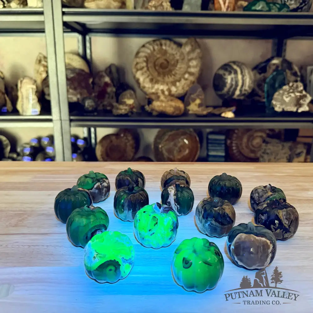 Volcano Agate Carved Pumpkins, UV Reactive Glow - Carved Object