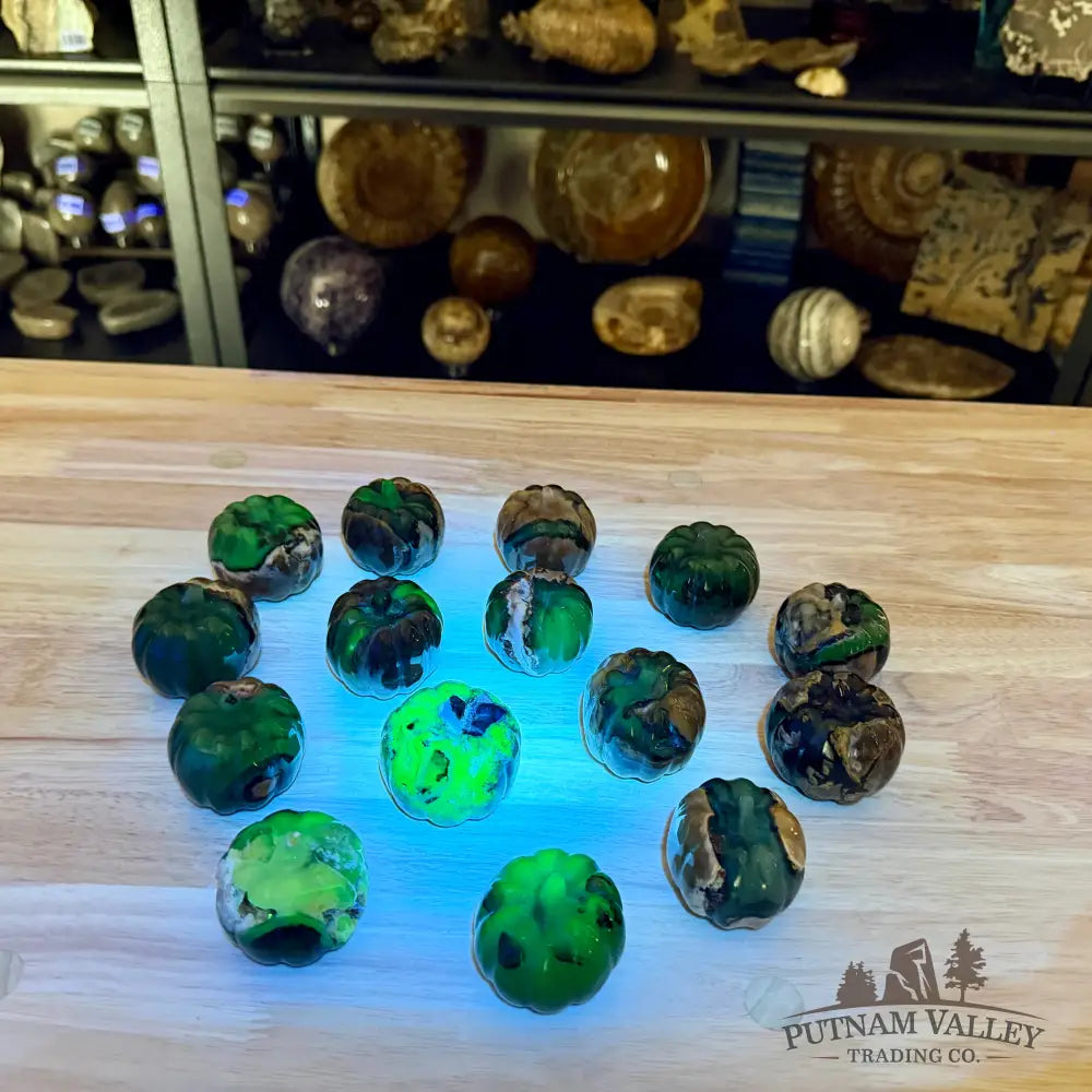 Volcano Agate Carved Pumpkins, UV Reactive Glow - Carved Object