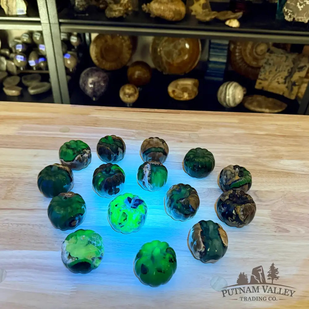 Volcano Agate Carved Pumpkins, UV Reactive Glow - Carved Object