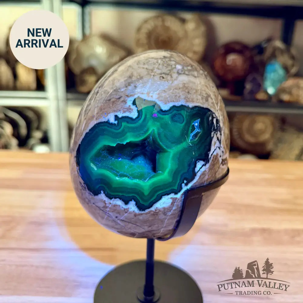 Volcano Agate Egg + Stand 8.5’’ - Egg
