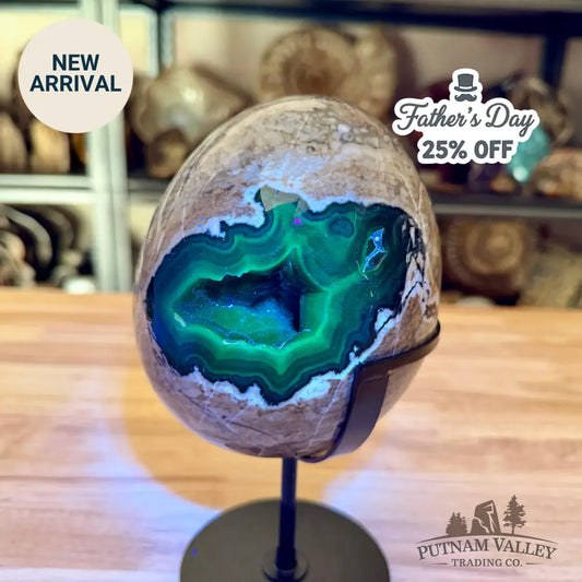 Volcano Agate Egg + Stand 8.5’’ - Egg