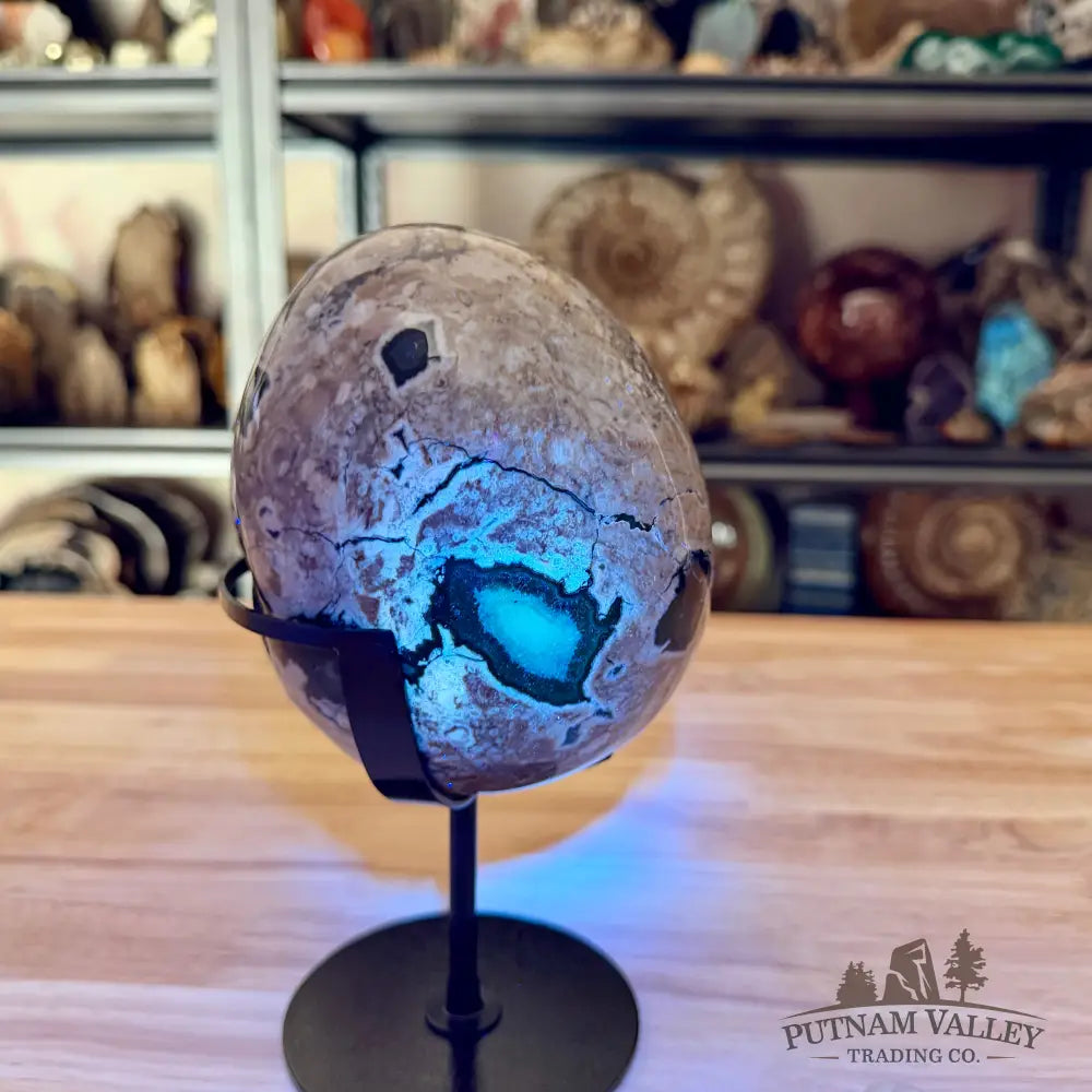 Volcano Agate Egg + Stand 8.5’’ - Egg