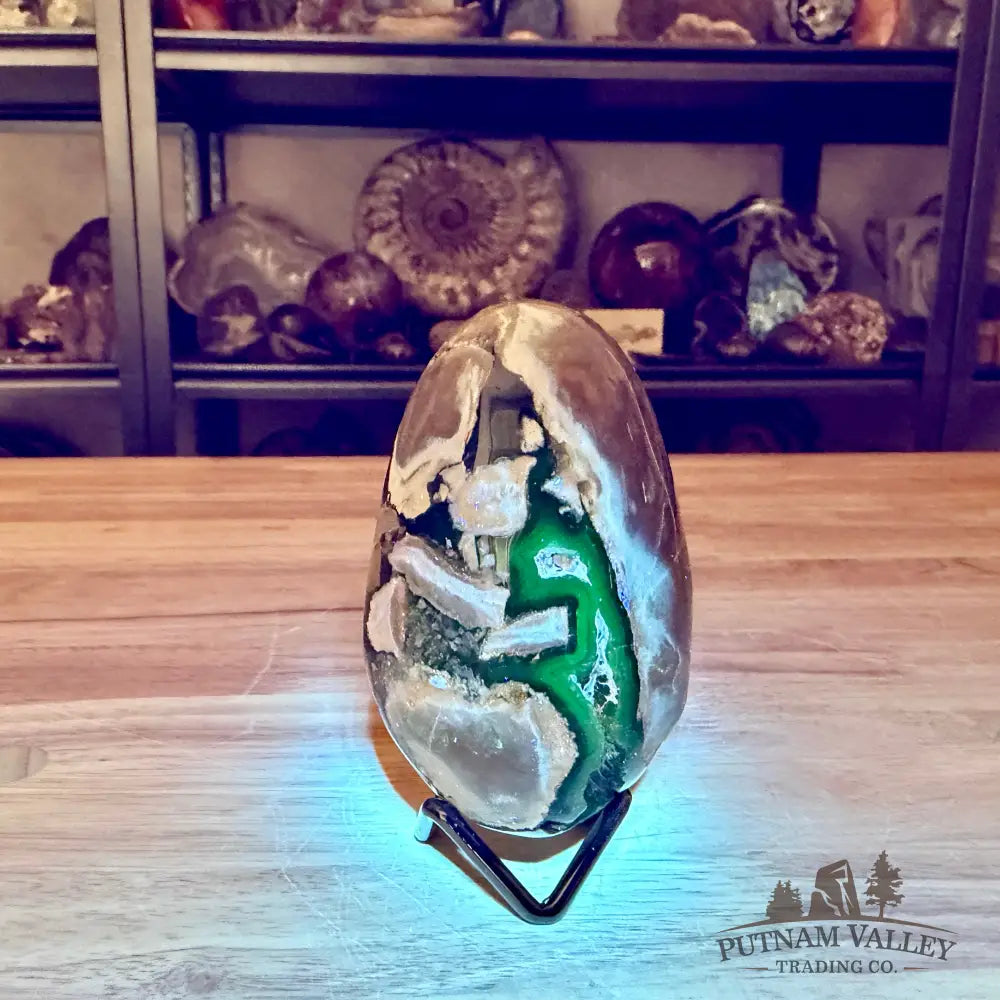 Volcano Agate Faceted Egg 3.90’’ - Egg