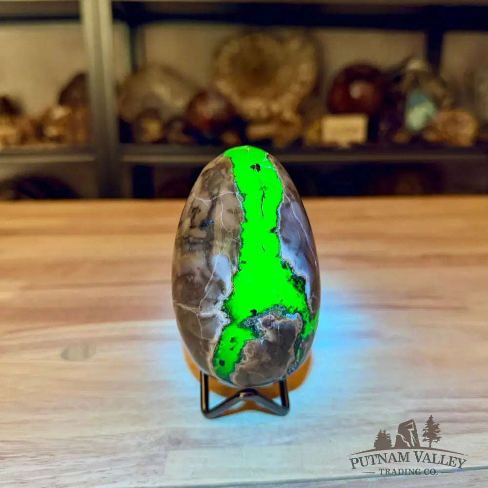 Volcano Agate Faceted Egg 4.16’’ - Egg