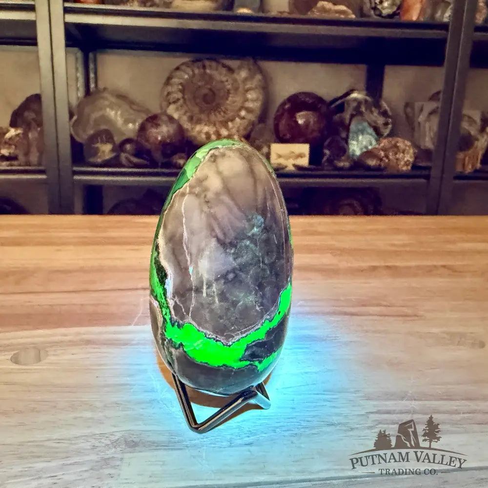 Volcano Agate Faceted Egg 4.16’’ - Egg
