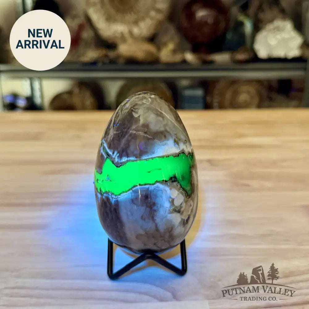 Volcano Agate Faceted Egg 4.21’’ - Egg