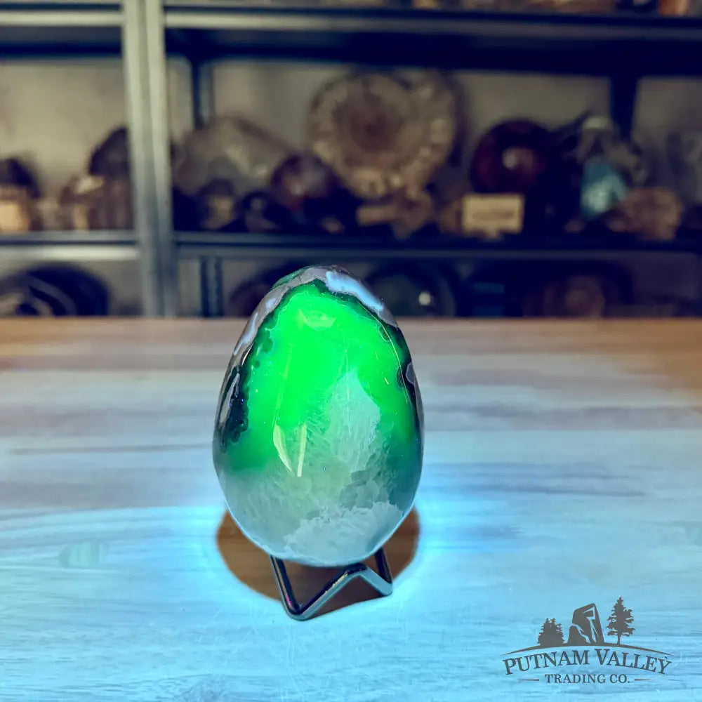 Volcano Agate Faceted Egg 4’’ - Egg