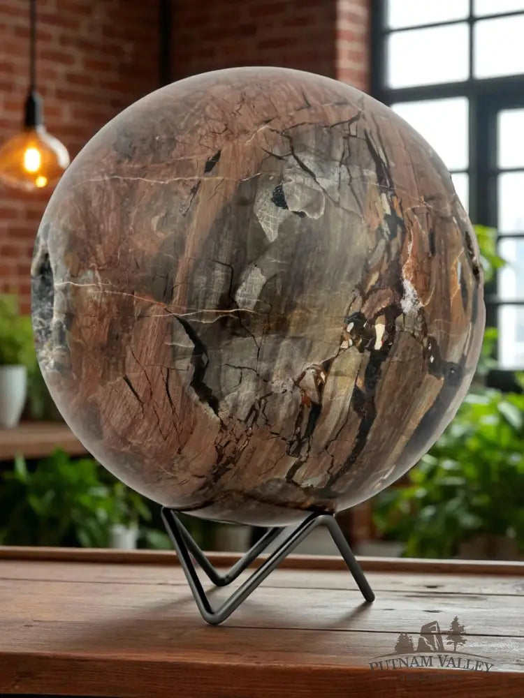 Volcano Agate Sphere Fossil