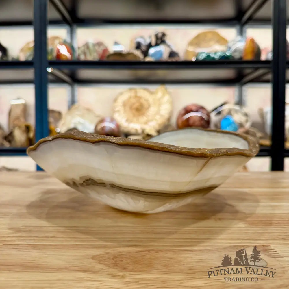 White Mexican Onyx Rustic Bowl 10.7’’ - Bowl
