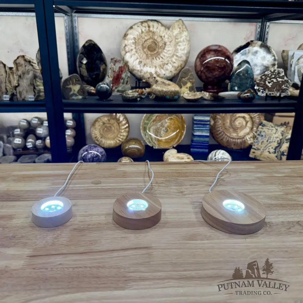 Wood Light Base | USB Powered | Multiple Sizes & Light Colors - Cool White / Small - Stands & Accessories