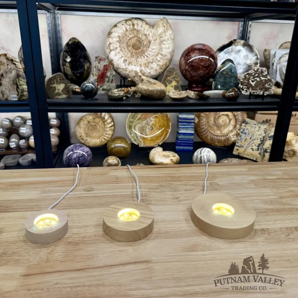 Wood Light Base | USB Powered | Multiple Sizes & Light Colors - Warm White / Small - Stands & Accessories