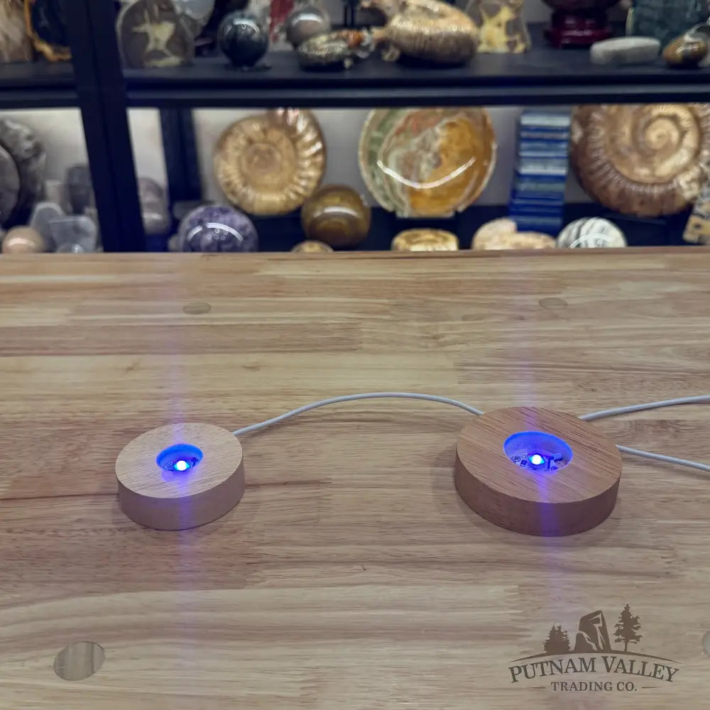 Wood UV Light Base – USB Powered - Small - Stands & Accessories