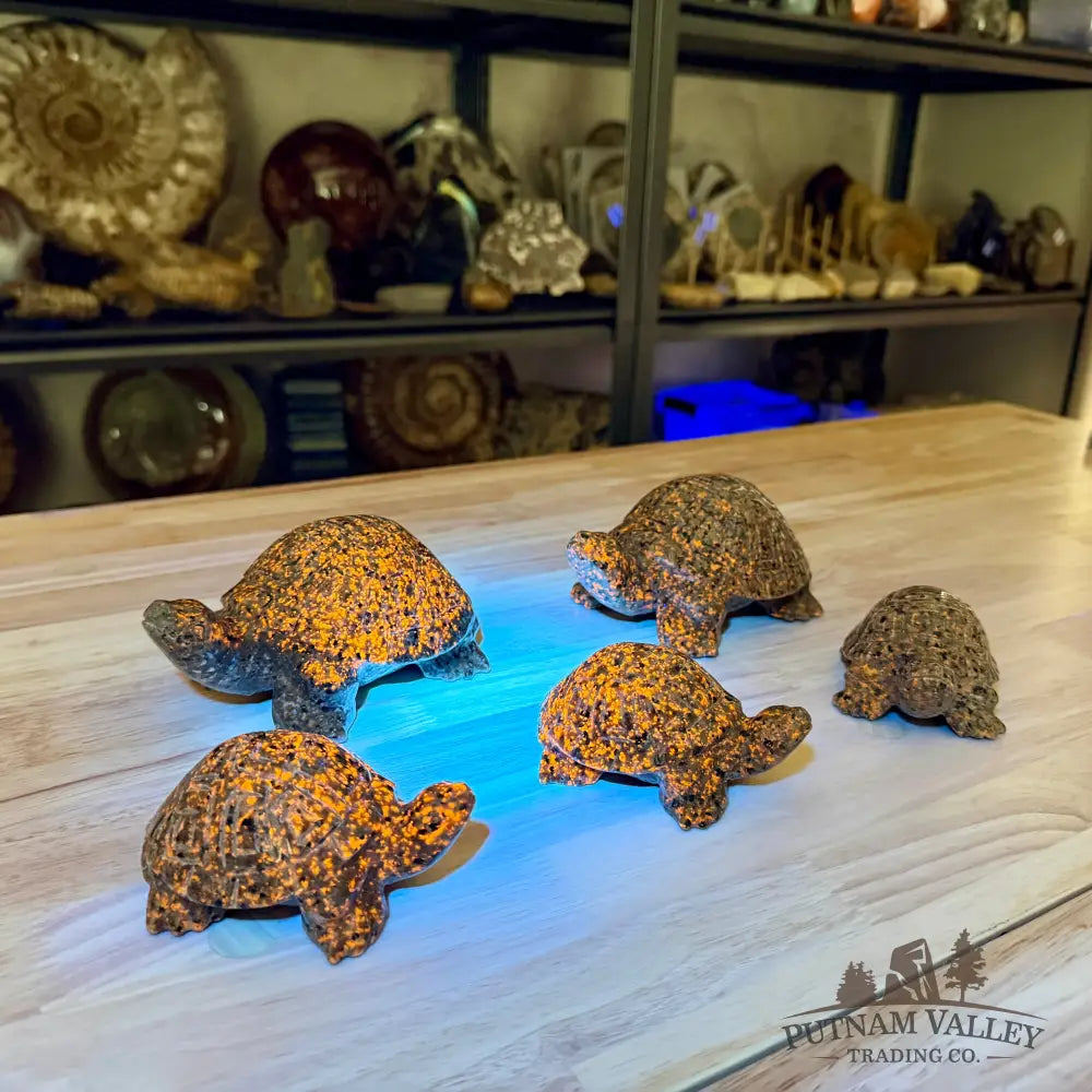 Yooperlite Turtle | In Select Sizes, UV Reactive Glow - Sculpture