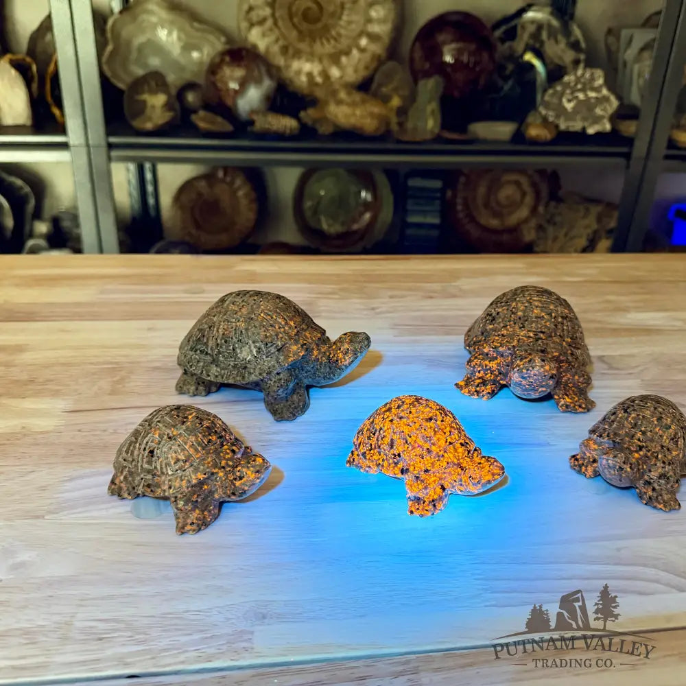 Yooperlite Turtle | In Select Sizes, UV Reactive Glow - Sculpture