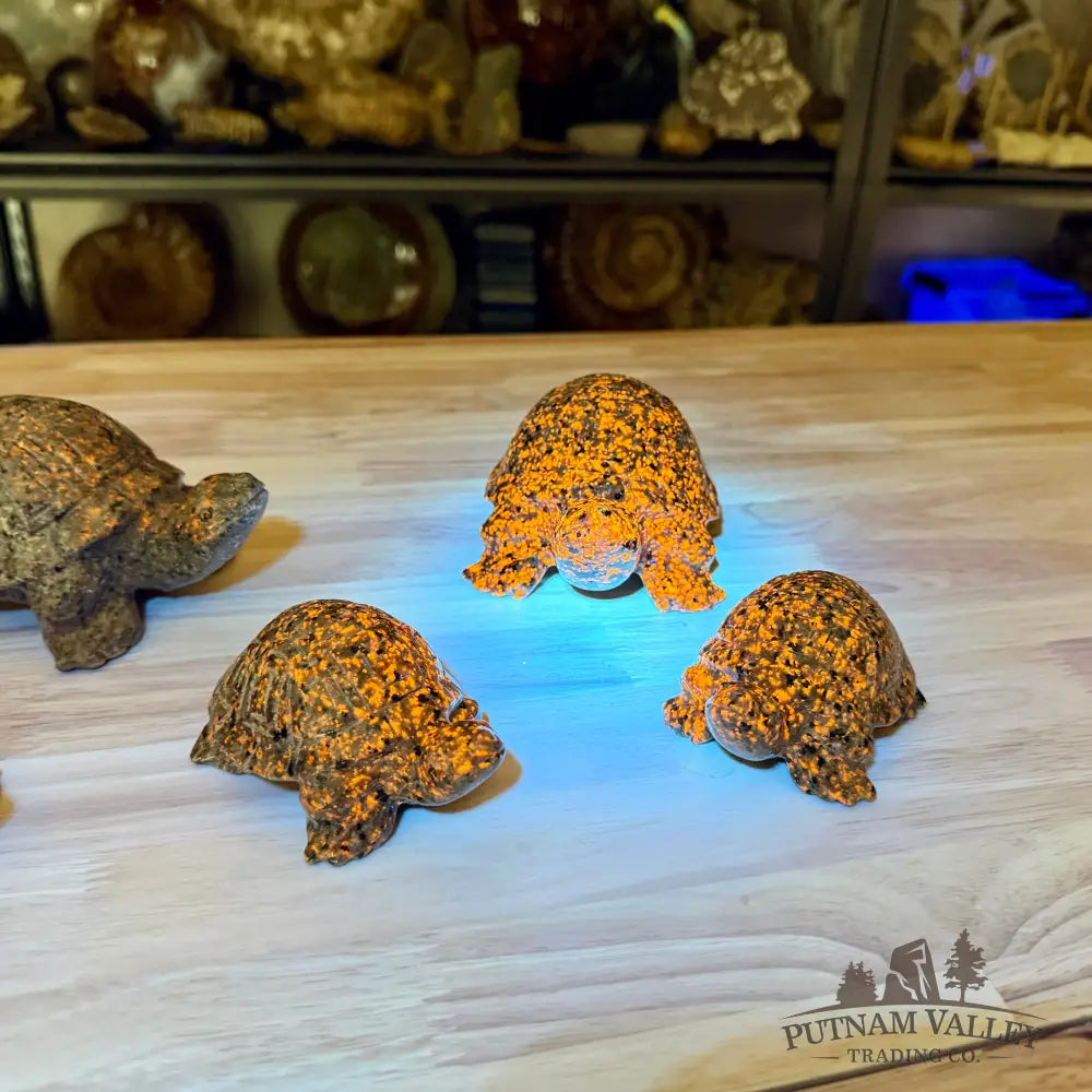 Yooperlite Turtle | In Select Sizes, UV Reactive Glow - Sculpture