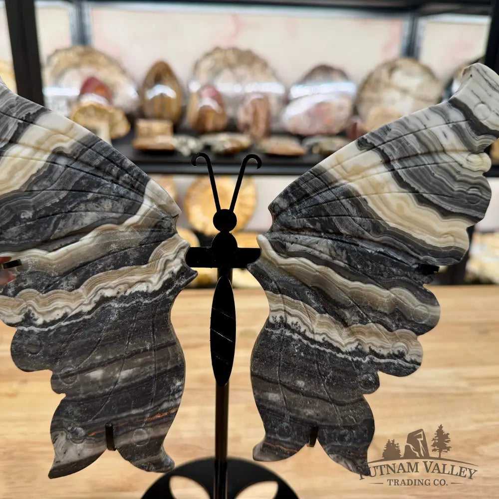 Zebra Calcite Butterfly - 10’’ Wingspan Sculpture