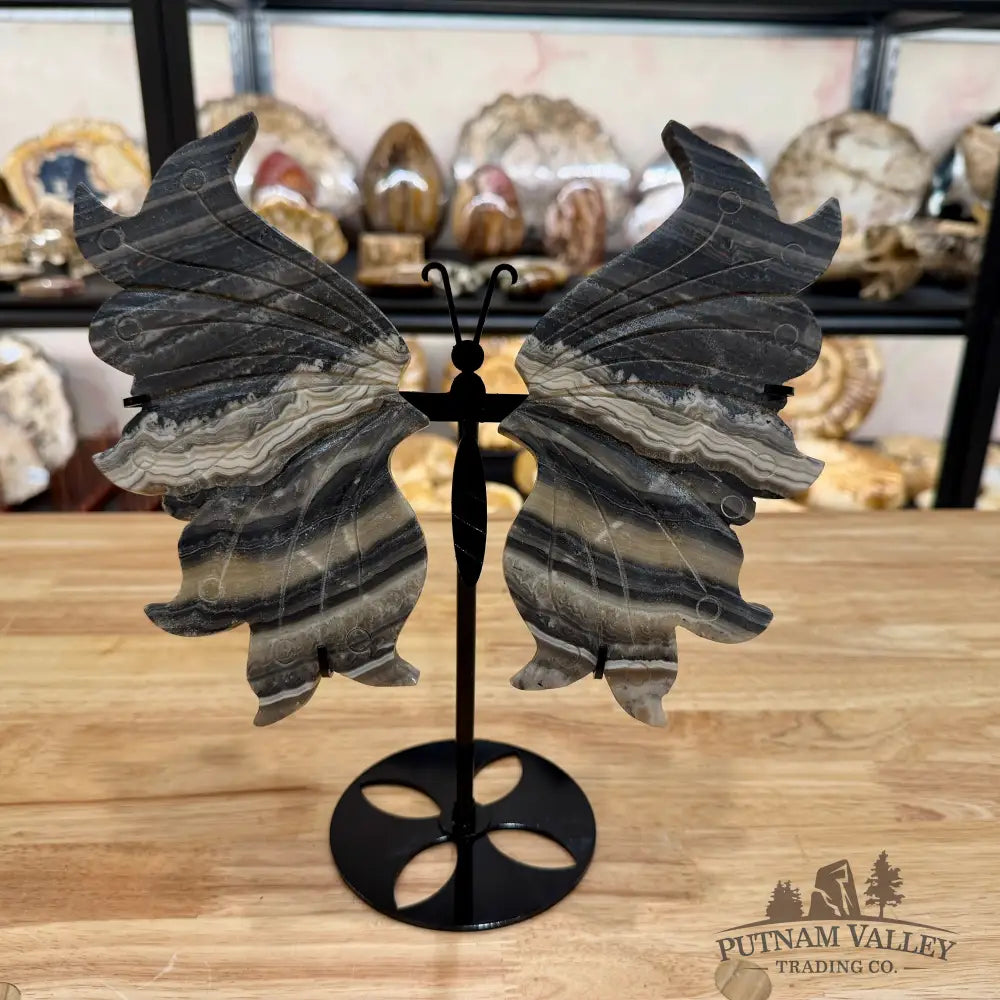 Zebra Calcite Butterfly - 10’’ Wingspan Sculpture