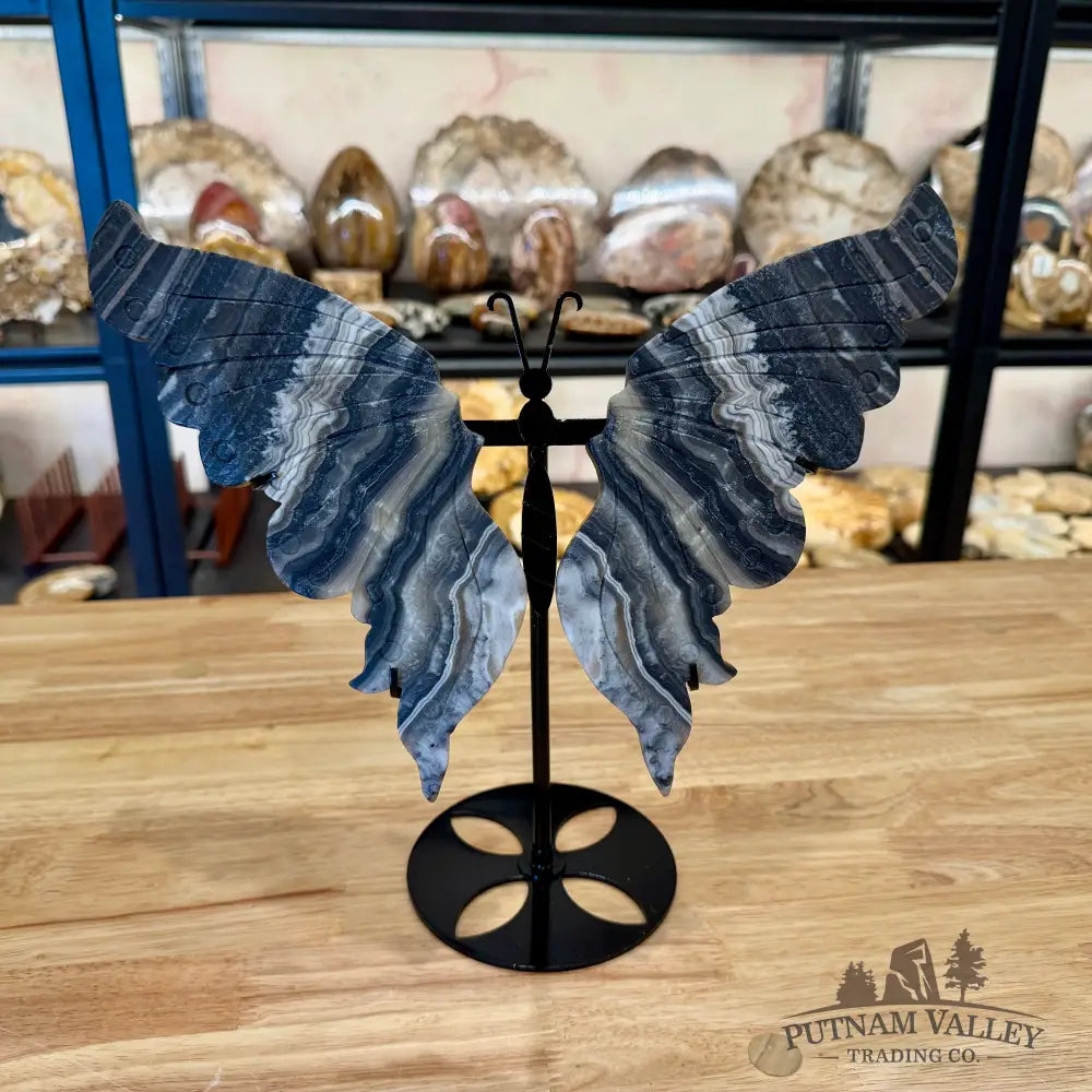 Zebra Calcite Butterfly - 12’’ Sculpture