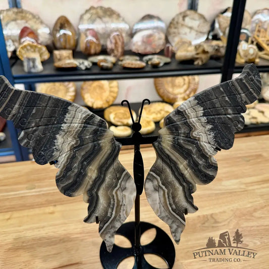 Zebra Calcite Butterfly - 12’’ Sculpture