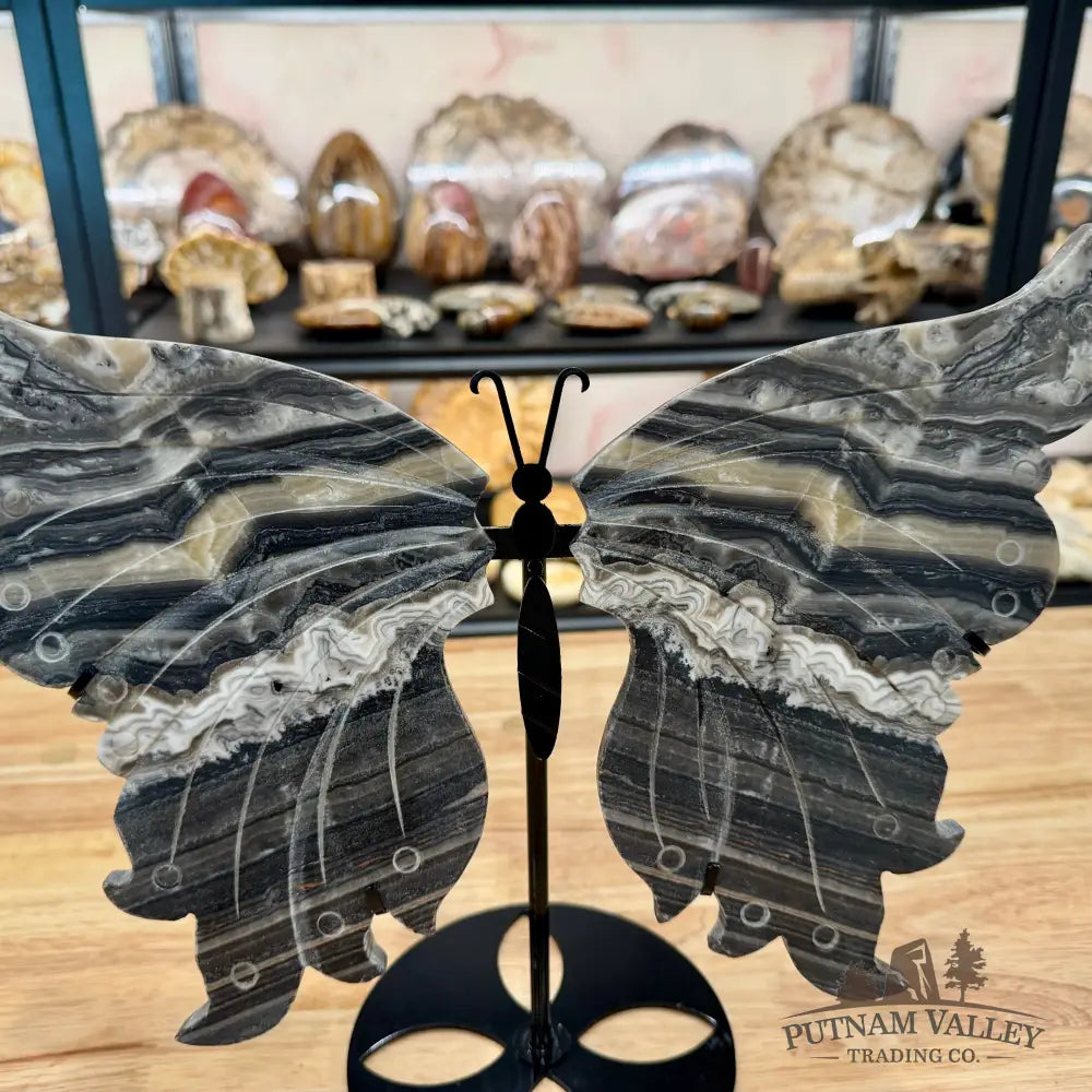 Zebra Calcite Butterfly - 13.75’’ Wingspan Sculpture