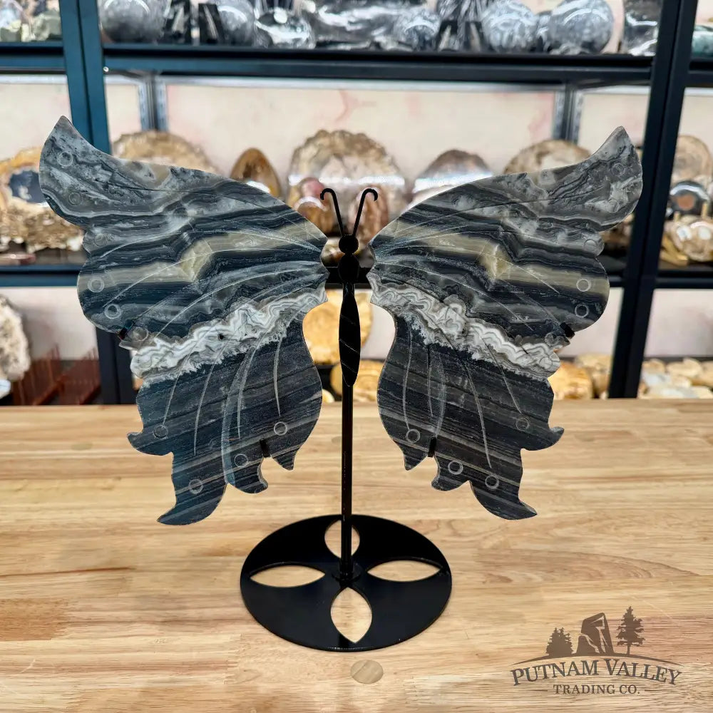 Zebra Calcite Butterfly - 13.75’’ Wingspan Sculpture