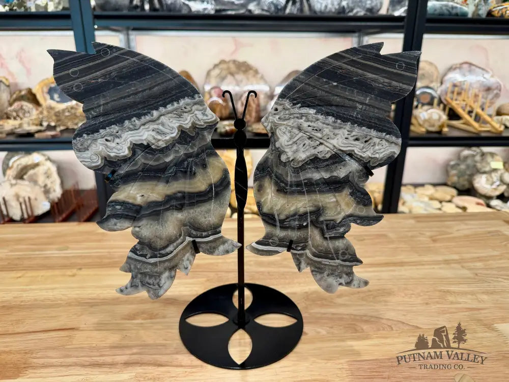 Zebra Calcite Butterfly - 14.25’’ Wingspan Sculpture