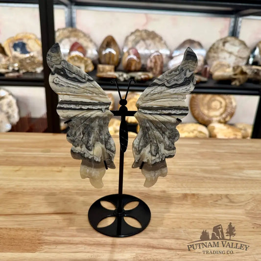 Zebra Calcite Butterfly - 7.1’’ Wingspan Sculpture